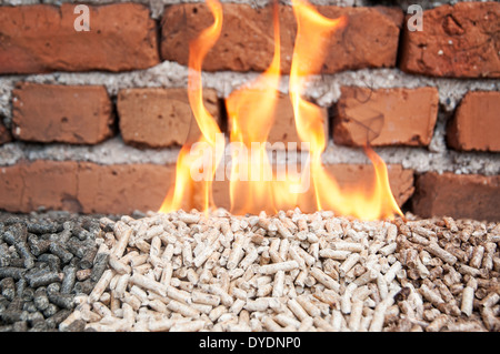 Baum-Art von Pellets in einem Flammen und roten Backsteinmauer Stockfoto