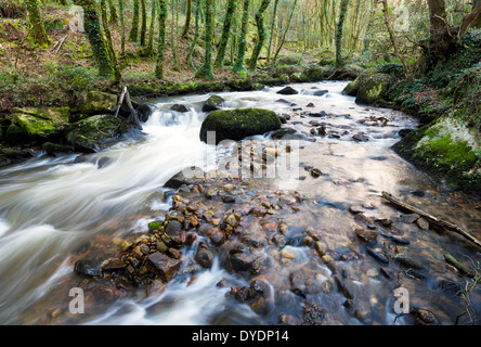 Der Fluss Par Kaskadierung über bemooste Felsbrocken am Ponts Mill im Luxulyan-Tal in der Nähe von St Austel in Cornwall Stockfoto