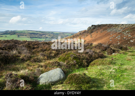 Klumpen von verblassten Heidekraut und die Ansicht von Baslow Kante in Richtung Curbar Rand und Rollen bewaldete Landschaft dahinter, Derbyshire, Peak District, England Stockfoto
