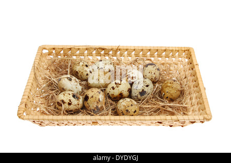 Wachteleier mit Stroh in einem Weidenkorb isoliert gegen weiß Stockfoto