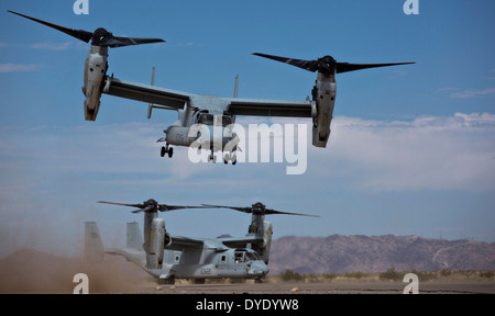 US Marine Corps MV-22 Osprey Tiltrotor Flugzeug abheben vom Marine Corps Air Station Yuma während des Trainings 11. April 2014 in Yuma, Arizona. Stockfoto