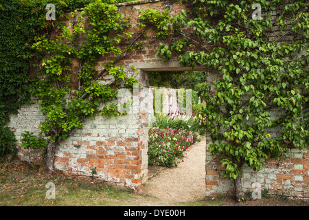 Birne und Apfel Baum Spalier Rahmen was war einmal ein Alter Garten Eingang in ummauerten Gemüse Garten Rousham House in Oxfordshire, England Stockfoto