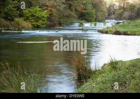 Die sanften Kaskaden auf dem Fluß Lathkill in Lathkill Dale in der Nähe von Laufe Haddon, Derbyshire, Peak District National Park, England Stockfoto