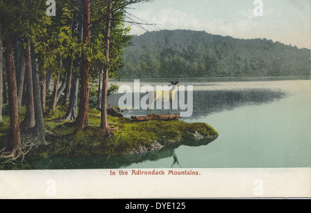 Dieses historische Bild zeigt die Adirondack Mountains, eine riesige Gebirgskette im Nordosten von New York. Die Region ist bekannt für ihre landschaftliche Schönheit und ist ein beliebtes Reiseziel für Outdoor-Aktivitäten und ein wichtiger Bestandteil des amerikanischen Naturerbes. Stockfoto