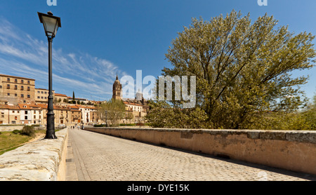 Blick von der Puente Romano a.k.a. die alte römische auf der neuen Kathedrale, Salamanca, Castilla y León, Spanien Brücke. Stockfoto