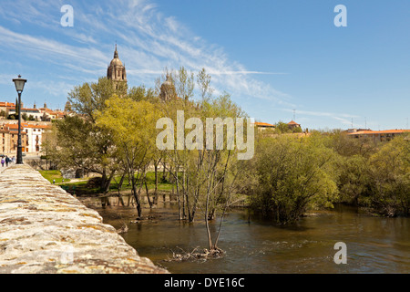 Blick von der alten römischen Brücke am Fluss Tormes und die neue Kathedrale in der Ferne, Salamanca, Castilla y León, Spanien. Stockfoto