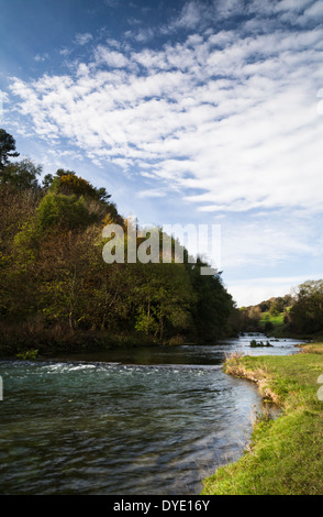Das kristallklare Wasser des Flusses Lathkill fließt durch Lathkill Dale in der Peak District National Park, England Stockfoto