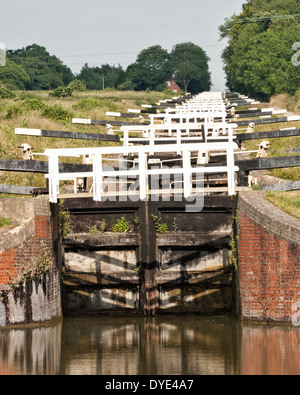 Der Flug der Verriegelungen auf dem Kennet & Avon Kanal in Caen Hill in der Nähe von Devizes, Wiltshire, UK Stockfoto