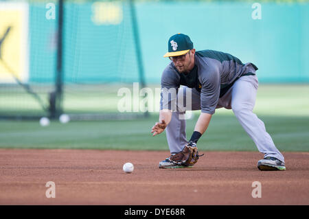 Anaheim, CA, USA. 15. April 2014. 15. April 2014 - Anaheim, CA, Vereinigte Staaten von Amerika - Oakland Athletics zweiter Basisspieler Eric Sogard (28) erwärmt sich vor dem MLB Spiel zwischen Oakland Athletik und Los Angeles Angels Engel Stadium in Anaheim, CA. Credit: Csm/Alamy Live-Nachrichten Stockfoto