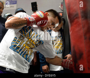 USA. 15. April 2014. Marcos Maidana '' El Chino'' arbeitet für die Medien bei Robert Garcia Boxing Academy Dienstag. Marcos Maidana bereitet für seinen bevorstehenden Kampf mit Floyd Mayweather Jr. am 3. Mai im MGM Grand Hotel in Las Vegas. Foto von gen Blevins/LA DailyNews/ZumaPress Credit: gen Blevins/ZUMAPRESS.com/Alamy Live-Nachrichten Stockfoto