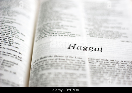 Buch Haggai in der Bibel Stockfoto