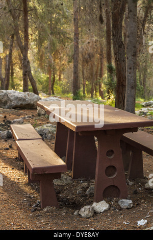 Fotografie-Picknick-Tisch in den Wäldern an einem Frühlingsabend. Israel. Stockfoto