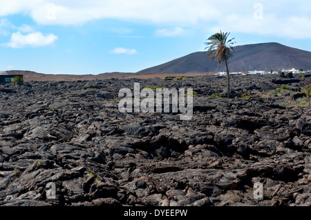 Vulkanlandschaft in Lanzarote, Kanarische Inseln, Spanien Stockfoto