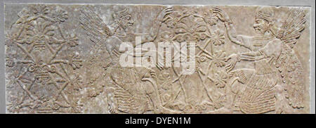 Relief Panel, den Assyrischen Königshof (Galerie 401), an der Metropolitan. Assyrern zu dem Baum des Lebens. 883-859 B.C.; Neo-assyrischer Zeit, Herrschaft von ASSURNASIRPAL II. Bei Nimrud ausgegraben Stockfoto
