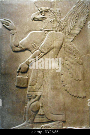 Eagle-Headed Apkullu In mesopotamischen Mythologie, die Götter geschickt übernatürlichen Berater bekannt als Apkallu Anleitung zu Königen zu geben. Manchmal hatten sie die Köpfe der Adler, dieses Beispiel ist von König Ashur-Nair - pal II. von Assyrien Palace. Relief Panel, den Assyrischen Königshof (Galerie 401), das Metropolitan Museum of Art, New York. Neuassyrischen Datum: Ca. 883 - 859 v. Chr. in Mesopotamien, Nimrud (antike Kalhu) Stockfoto