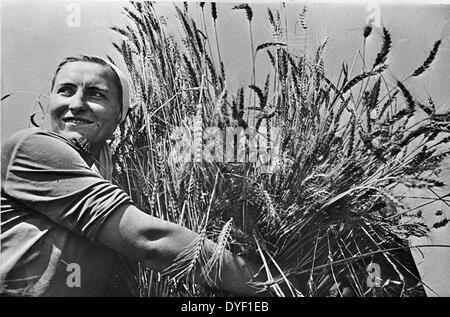 Krasnodar (Nähe), UDSSR (Union der Sozialistischen Sowjetrepubliken). Frau kollektive Landwirt mit frisch geernteten Weizen. Zwischen 1930 und 1940 Stockfoto