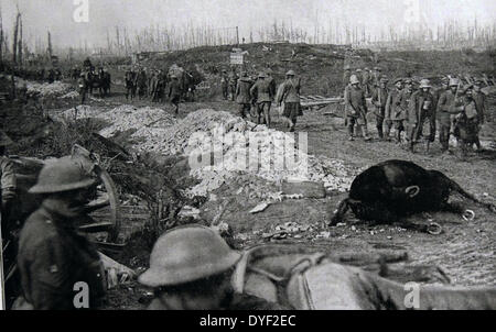 Dead Horse wird von britischen Soldaten bestanden und deutschen Kriegsgefangenen in Flandern, Belgien 1917 erfasst Stockfoto