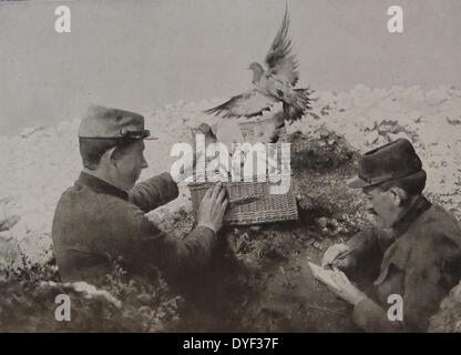 Die französischen Soldaten befestigen Sie Nachrichten an Brieftauben, wie sie die Kommunikation zu anderen französischen Positionen während des Ersten Weltkriegs 1916 Stellen Stockfoto