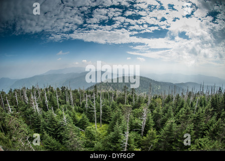 Einen weiten Blick über den Great Smoky Mountains von der Spitze des Clingmans Kuppel Stockfoto