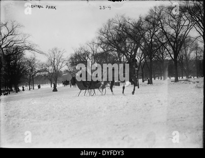 Pferde gezeichnete Wagen im Central Park in New York sind in diesem undatierten Datei Foto gesehen. Stockfoto