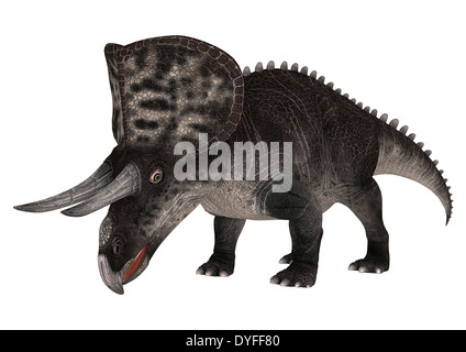 Digitale 3D Rendern eines Dinosauriers, die Zuniceratops isoliert auf weißem Hintergrund Stockfoto