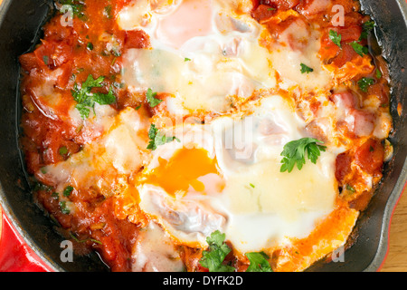 "Eggs im Fegefeuer", pochiert ein mediterranes Frühstücksgericht von Eiern in einer würzigen Tomatensauce mit geschmolzenem Käse gekrönt. Stockfoto