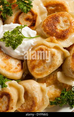 Hausgemachte polnische Pierogis mit saurer Sahne und Petersilie Stockfoto