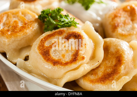 Hausgemachte polnische Pierogis mit saurer Sahne und Petersilie Stockfoto