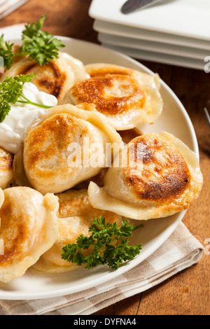 Hausgemachte polnische Pierogis mit saurer Sahne und Petersilie Stockfoto