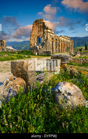 Exterieur der Roman Basilica an Ausgrabungsstätte Volubilis. Marokko Stockfoto