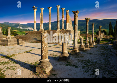 Die Corintian Spalten der kapitolinischen Tempel Volubilis archäologische Stätte, Marokko Stockfoto