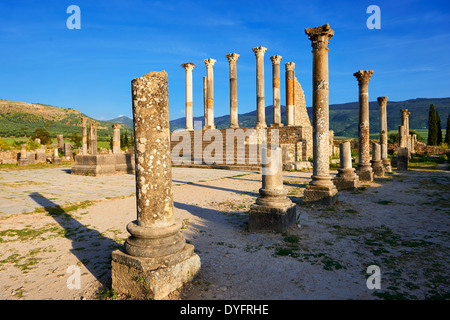 Die Corintian Spalten der kapitolinischen Tempel Volubilis archäologische Stätte, Marokko Stockfoto