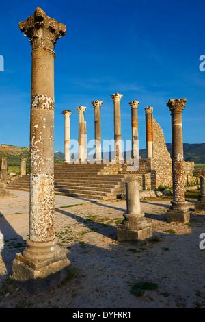 Die Corintian Spalten der kapitolinischen Tempel Volubilis archäologische Stätte, Marokko Stockfoto