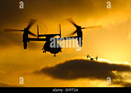 Ein Marine Corps MV-22 Osprey Flugzeug abheben aus dem Flugdeck der USS Makin Island bei Sonnenuntergang 15. April 2014 vor der Küste von San Diego, Kalifornien. Stockfoto