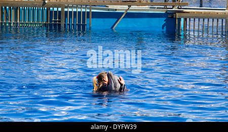 Delfine an der L'Oceanografic in der Stadt der Künste und Wissenschaften in Valencia, Spanien Stockfoto