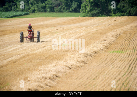 Bäuerin, die alten Traktor fahren, im Feld Stockfoto