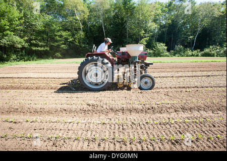 Roter Traktor Brunswick, Maine zu fahren Stockfoto