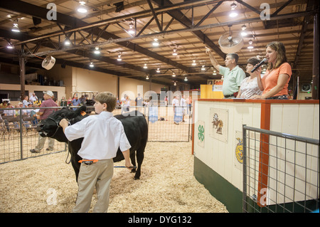 Vieh versteigern Maryland State Fair Stockfoto