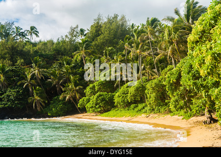 Papa'a Bay, Kauai, Hawaii Stockfoto