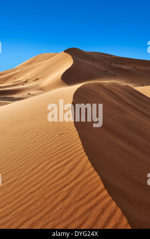 Sahara parabolischen Dünen von Erg Chebbi, Marokko, Afrika Stockfoto