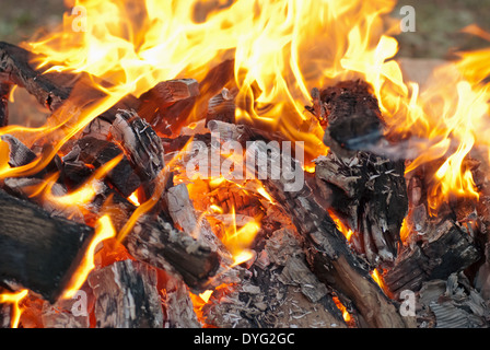 brennende Feuer und Kohle Stockfoto