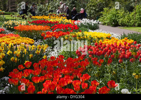 Keukenhof, Lisse, 16. April 2014. Die Blume-Displays im Keukenhof, auch bekannt als der Garten Europas, sind von ihrer besten Seite vor den Osterferien. Jährlich werden etwa 7 Millionen Blumenzwiebeln (Tulpen, Narzissen und Hyazinthen) gepflanzt. Keukenhof ist eines der wichtigsten touristischen Attraktionen der Niederlande und zieht Besucher aus aller Welt. Die Gärten sind für nur acht Wochen im Jahr geöffnet. Bildnachweis: Nick Savage/Alamy Live-Nachrichten Stockfoto