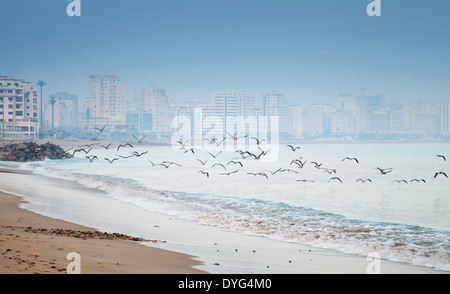 Atlantik Küste, kalten Morgen am Strand. Tanger, Marokko Stockfoto