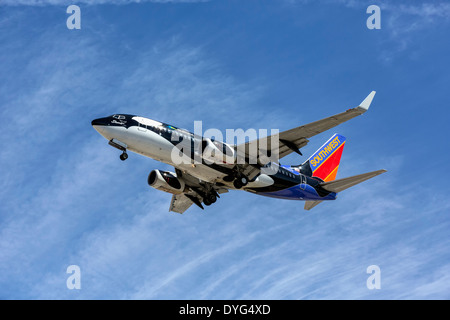 Eine Boeing B737 von Southwest Airlines im Endanflug - klassische Shamu Schema Stockfoto