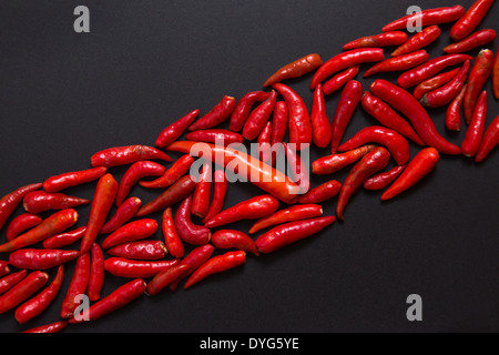 Reihe von nicht-Stamm roter Vogel Auge Chili Peppers auf grauem Hintergrund Stockfoto