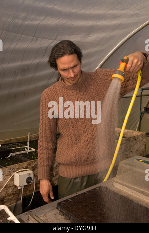 Mann Bewässerung neue Setzlinge in Töpfen im Gewächshaus, Farnham, Surrey, Großbritannien. Stockfoto