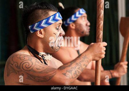 Maori-Krieger führen den Haka Tanz traditionell angestammten Kriegsschrei 28. März 2014 in Auckland, Neuseeland. Stockfoto