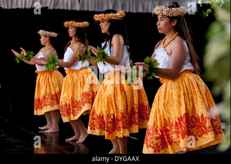 Traditionelle Tänzer hawaiianische Hula während das Kulturfestival Pasifika 9. März 2014 in Auckland, Neuseeland. Stockfoto