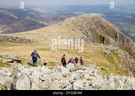 Wanderer zu Fuß über die Felsen auf Carnedd Moel Siabod Gipfelgrat in Berge von Snowdonia National Park North Wales UK Großbritannien Stockfoto