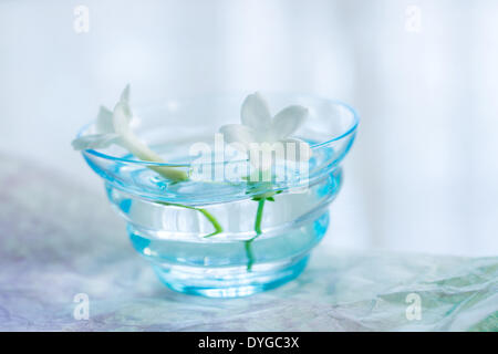 Blumen im Wasserglas Stockfoto